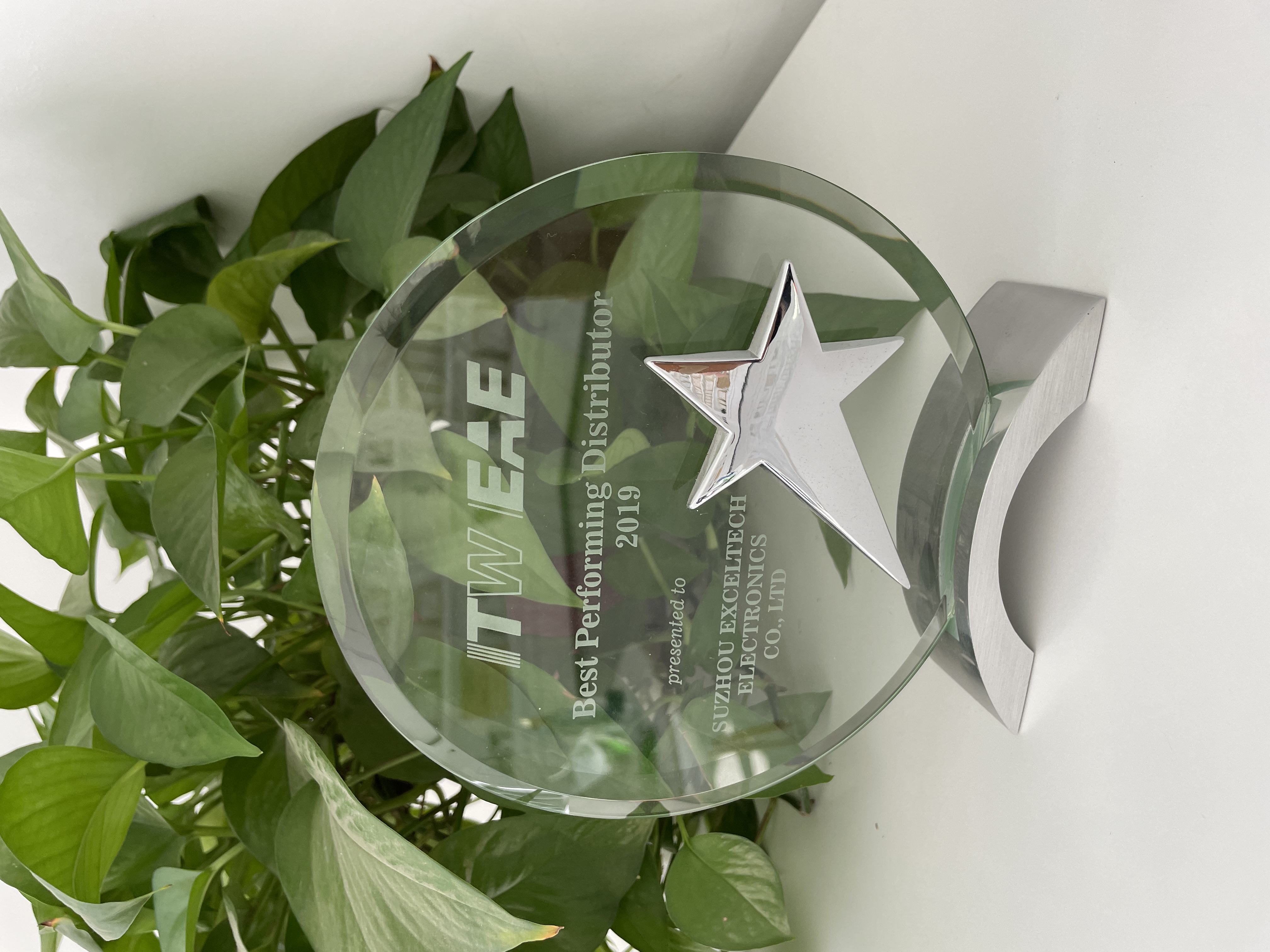 Best Performing Distributor 2019